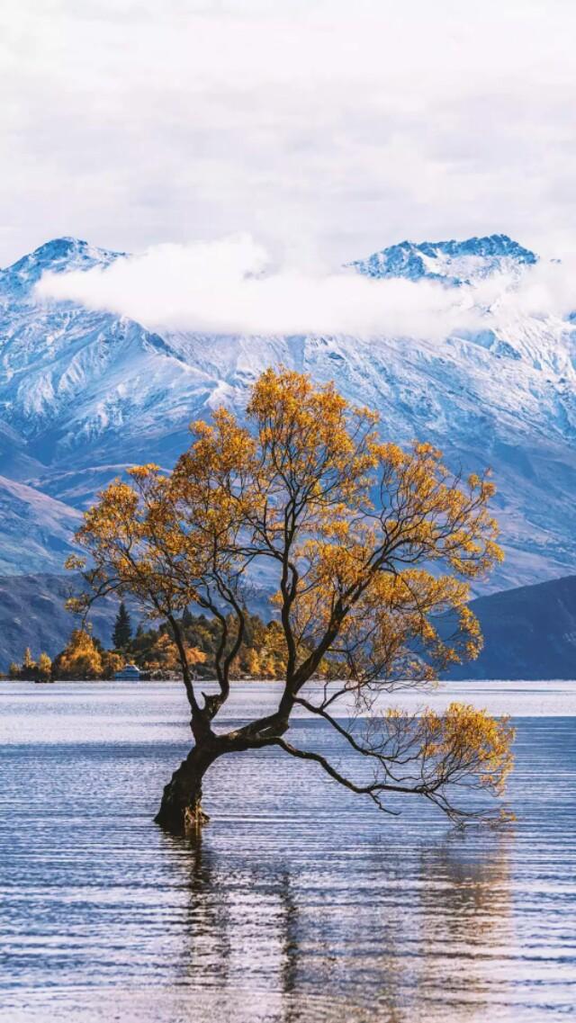 赚钱的一些思路,赚钱的秘诀都在这里