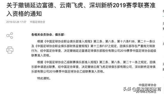 延边足球之殇视频,延边足球破产