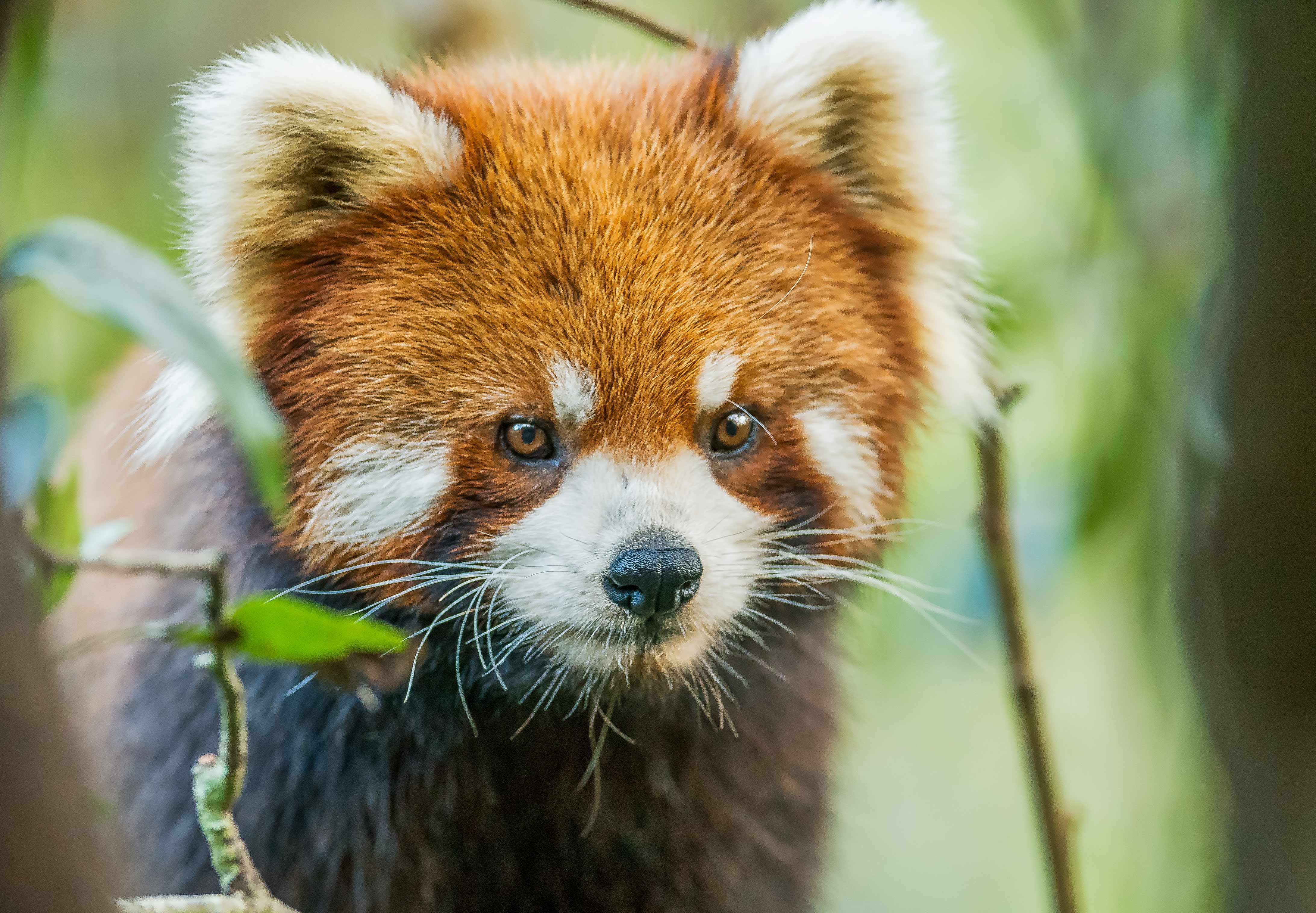 秋季川西摄影自驾游,川西七日自驾游攻略自由行
