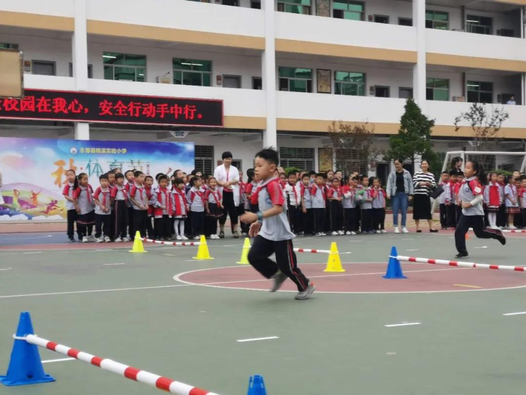 永春县桃溪实验小学2022年招生,永春县桃溪实验小学怎么样