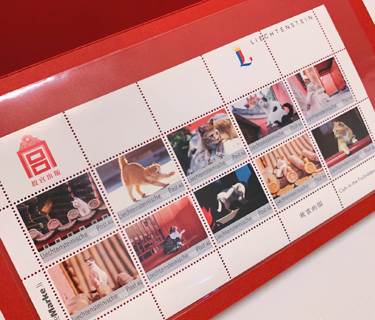 养宠物的人内心都是孤独的吗,养宠物真的可以缓解孤独吗