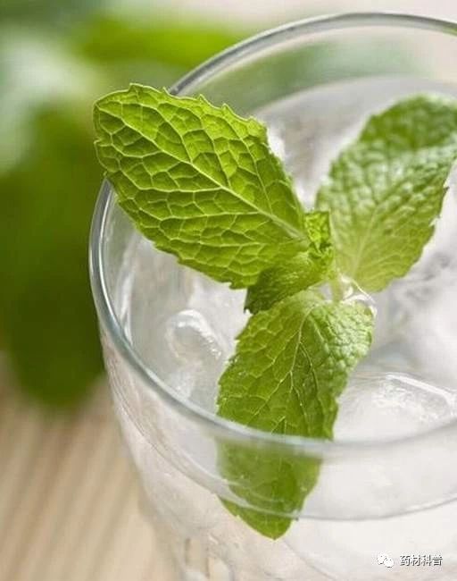 春困来袭推荐两款食疗方有效解决,健康5种食物对付春困