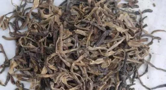 澳洲探望丈夫，却在海关处被当场扣押，这个疏忽很多人都犯过