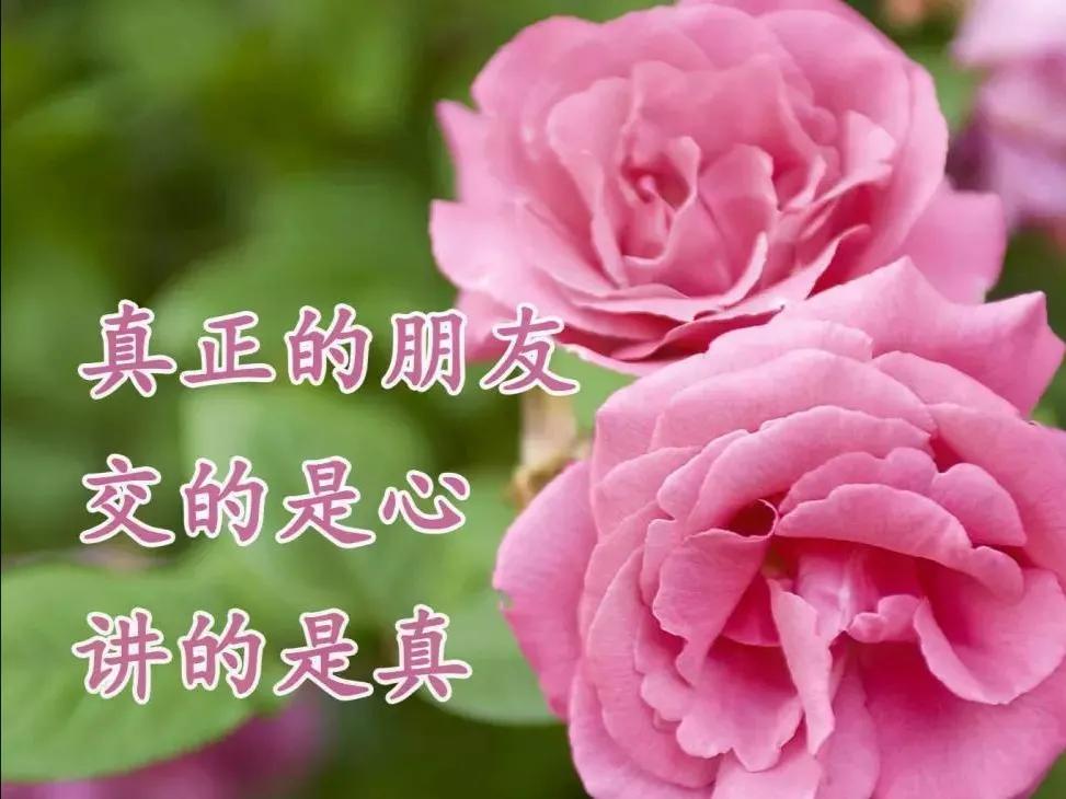 朋友认识你真好经典语录,朋友认识你真好诗歌朗诵