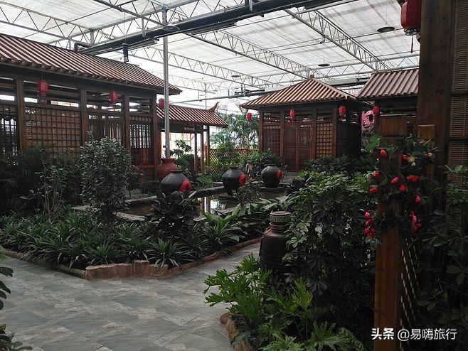 易嗨旅行带您天津宁河-芦台板桥休闲踏春游
