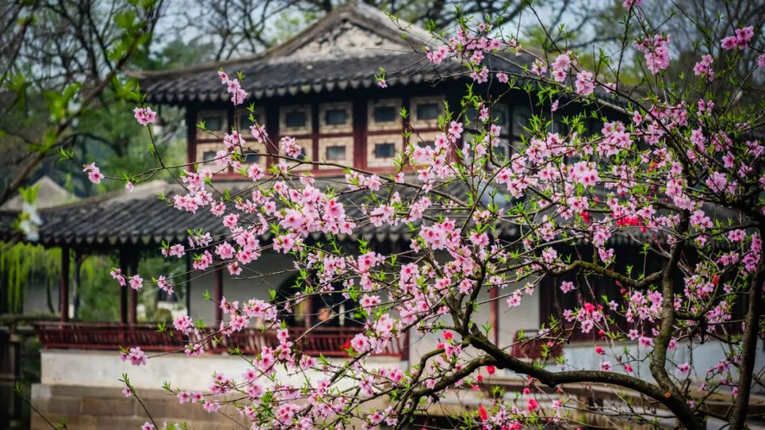 太湖新开盘楼盘,太湖新进新房