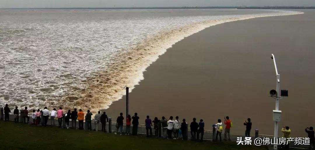 花好月圆中秋快乐视频,花好月圆中秋快乐毛笔字