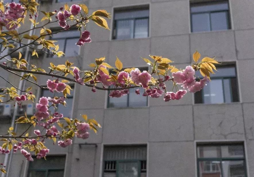 安徽合肥大学二本院校,安徽合肥工业大学