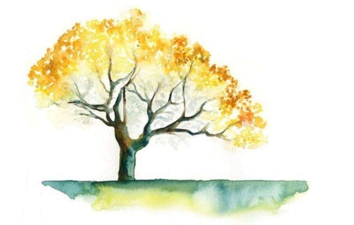 心理医生和心理咨询师哪个赚钱多,心理医生和心理咨询师有什么不同