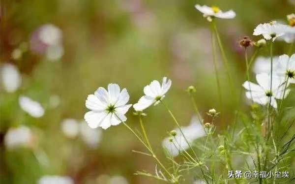 英语10分的学渣怎么逆袭,英语学渣逆袭成学霸的方法