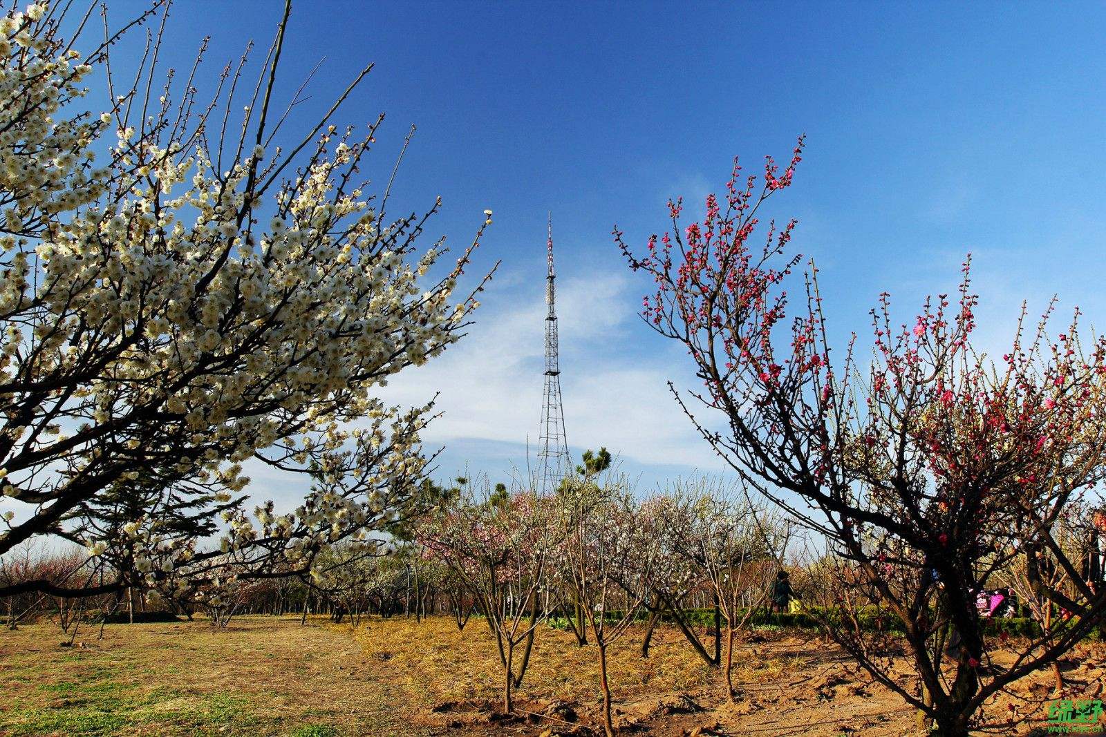 莱阳历史地名,莱阳和莱西历史