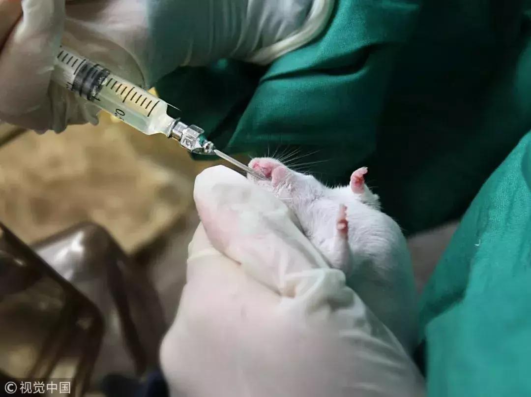 喝酒和香烟哪个致癌危害更大,喝酒致癌为啥还有那么多人喝茅台