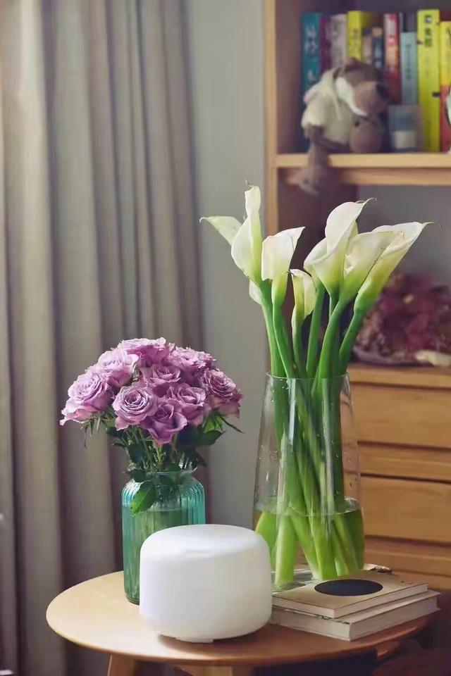 马蹄莲鲜切花焦了的养护方法,马蹄莲鲜切花怎么养护和管理