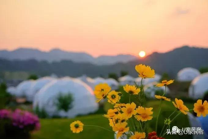 民宿不止一种模样，帐篷民宿酒店了解一下？