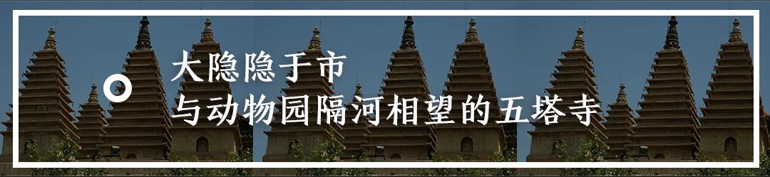 北京动物园园林介绍,北京动物园全景简介