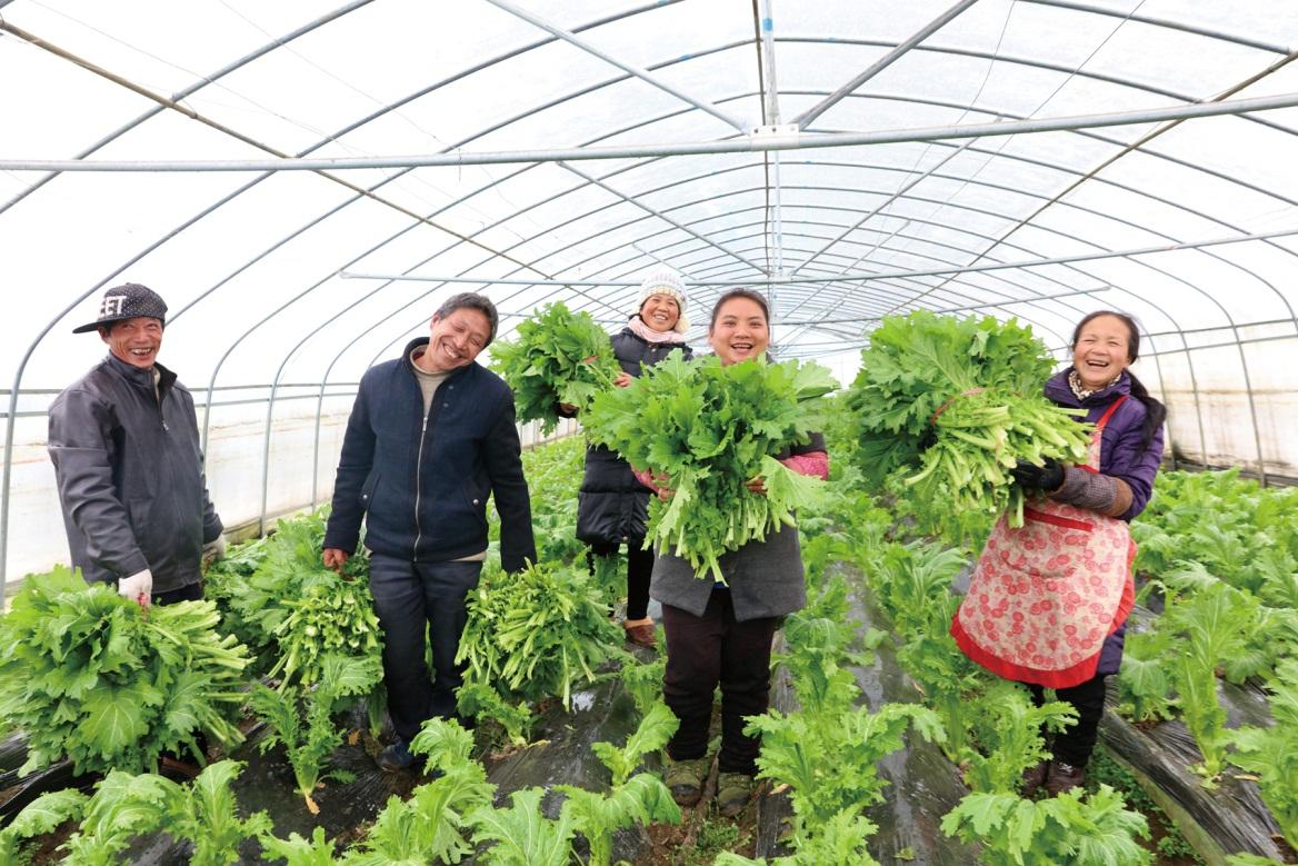 恒大青训和鲁能青训,恒大持续巨额投入青训见回报