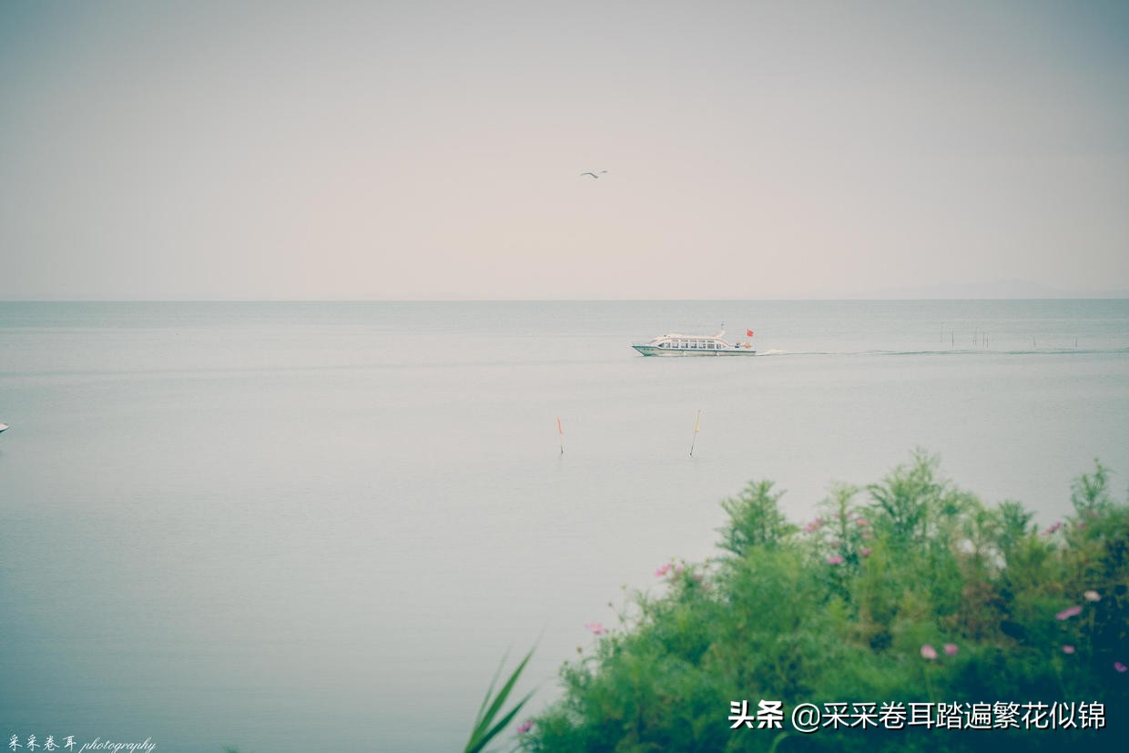 慢游景点,博斯腾湖景点打卡