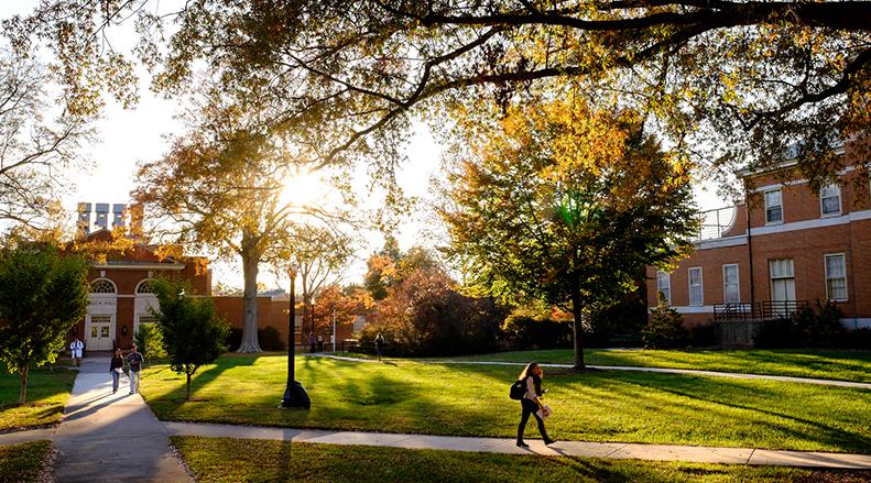美国人造子宫实验成功,荷兰科学家发现人体新器官