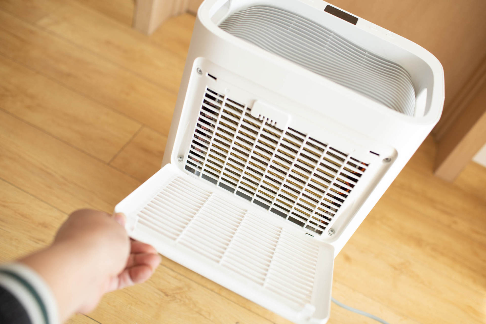 抵御南方湿冷的魔法攻击,小而强悍的伊岛*湿机除**