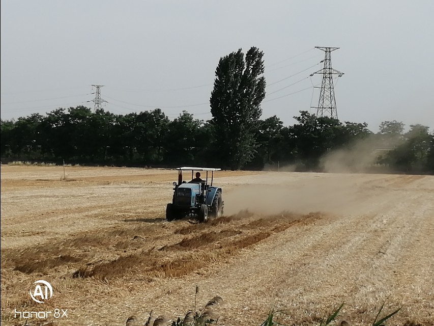 每年的芒种时间固定吗,芒种时间是每年几月