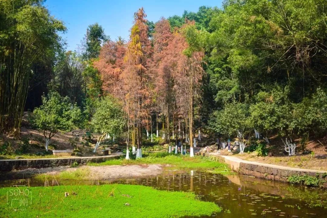 广州吃海鲜最便宜的地方2018年,广州的海鲜哪里又新鲜又便宜