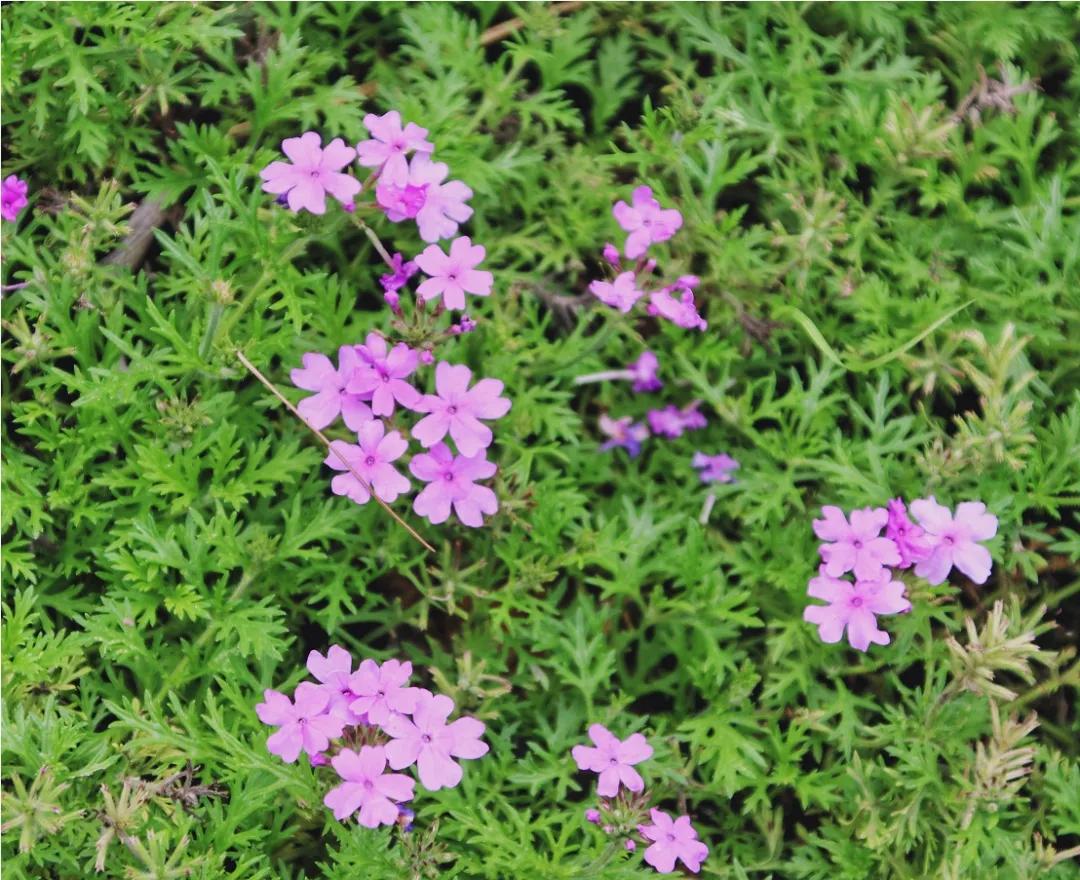 旅拍贵州！邂逅每一帧浪漫风景