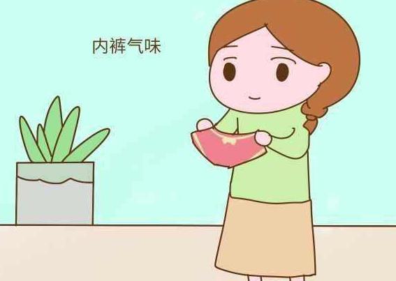 孕期的孕妇裤大家怎么处理的,孕妇早期1-3个月内裤