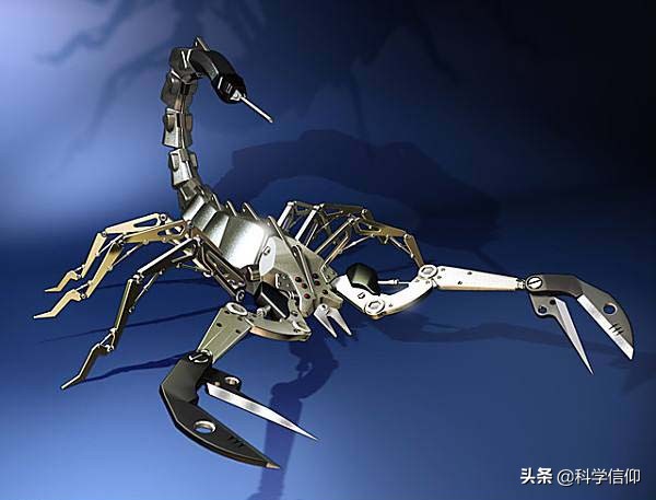 明明身带毒针，却偏偏喜爱使用蛮力，这就是蝎子