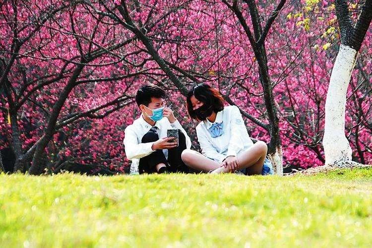 天津2022哪些公园恢复开放,天津水西公园现在恢复开放了吗