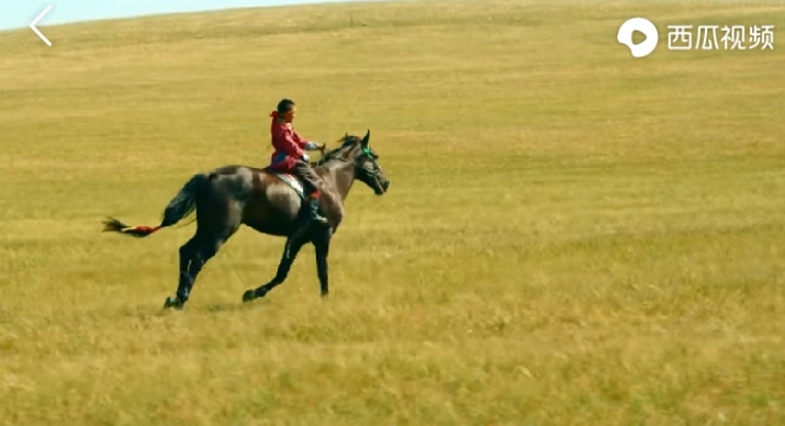 乌珠穆沁的孩子电影在线观看,乌珠穆沁的孩子怎么样