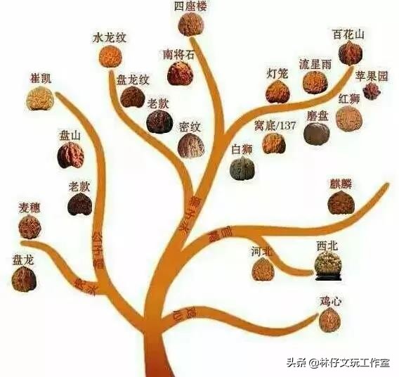 文玩核桃需要天天盘天天刷吗,文玩核桃满天星怎么盘红得快