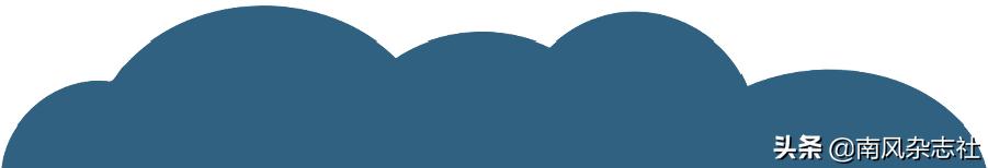 爱的种子生根发芽知乎,爱的种子生根发芽后是什么