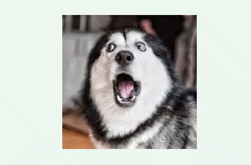 摄影师拍儿童照九岁,摄影师给9岁小孩拍照