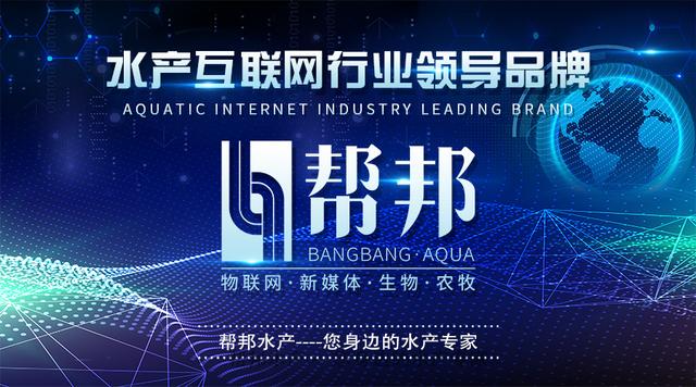 想要对虾养的好，料台“问诊”不能少！南美白对虾料台有哪些讲究