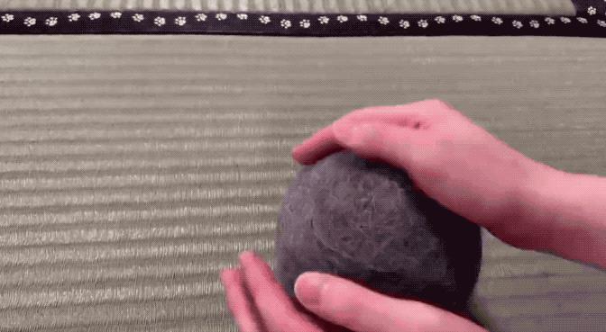 网友晒出5颗巨型毛球，救命！我快要窒息了