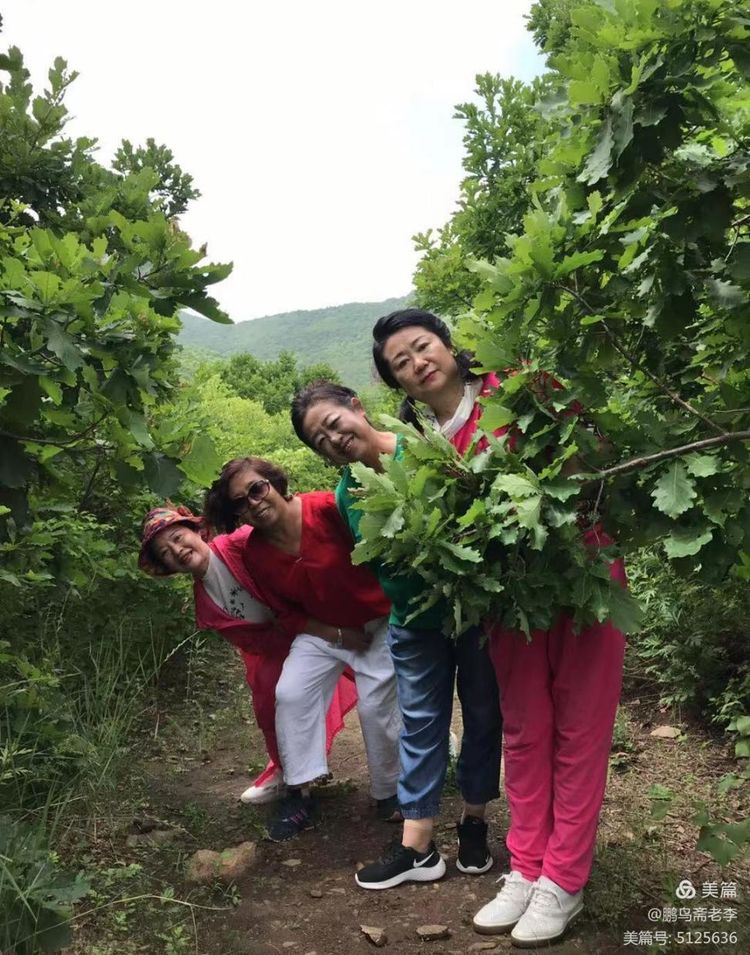 赤峰日报蒙古文,赤峰日报2005