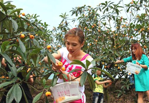 重庆农家乐和休闲农庄推荐可垂钓,重庆钓鱼烧烤采摘一体的农家乐