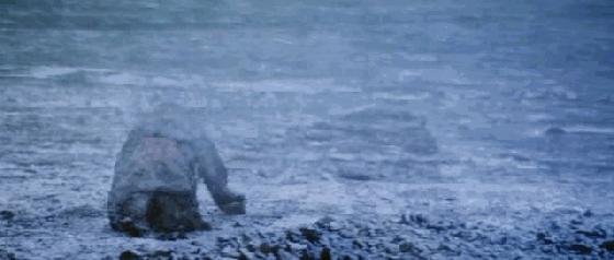 张艺谋陈凯歌曾经年少的样子,张艺谋和陈凯歌最后一次公开同台