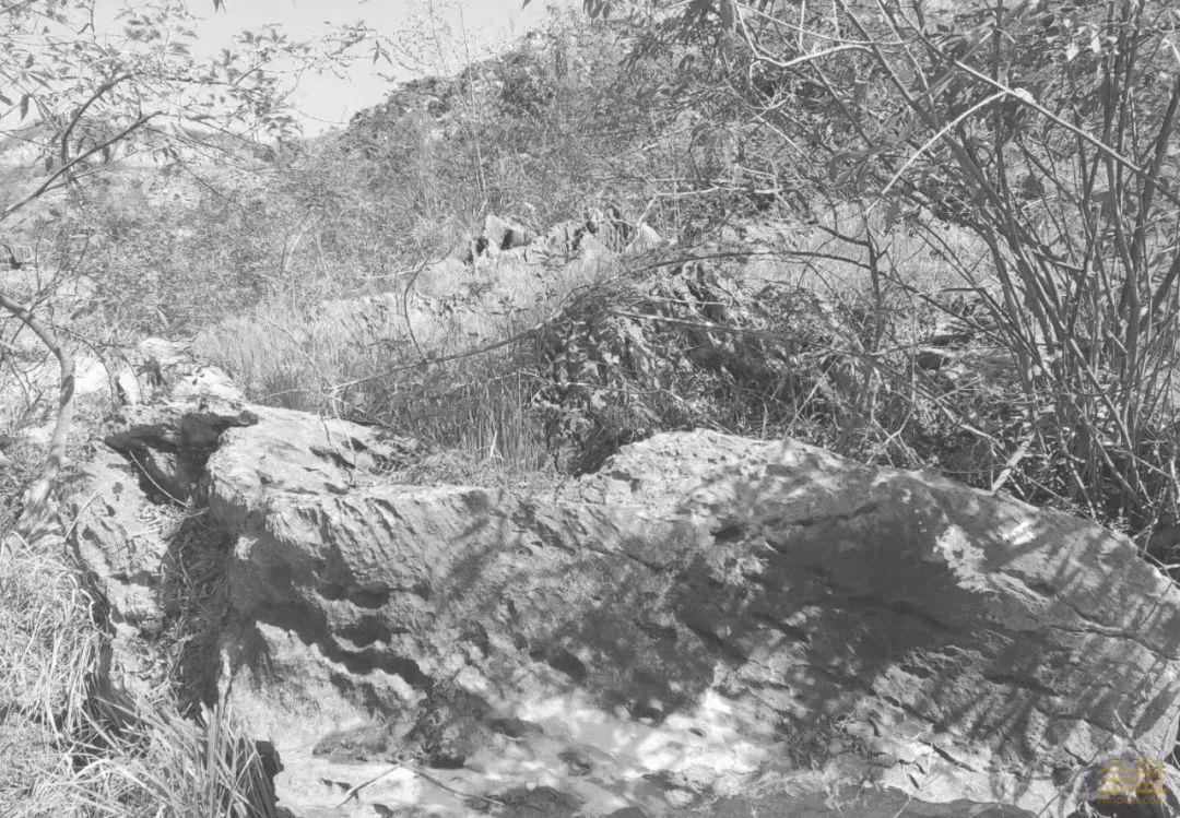 苏州阳光城檀苑,苏州阳光城檀苑公示