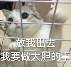 vivo手机有哪些黑科技功能,2018年vivo手机黑科技功能