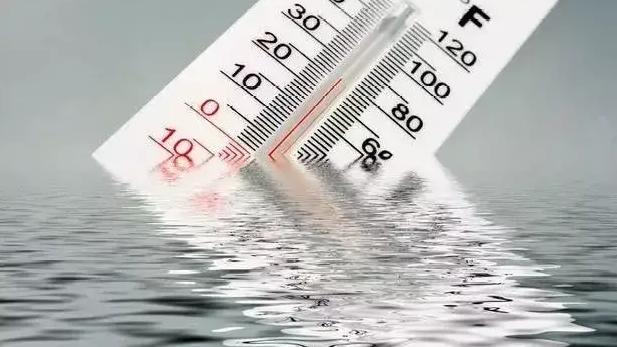 金鱼低温水霉病怎么治,低温水霉病怎么治