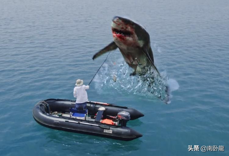 大鲨鱼电影精彩片段,大鲨鱼动画完整版