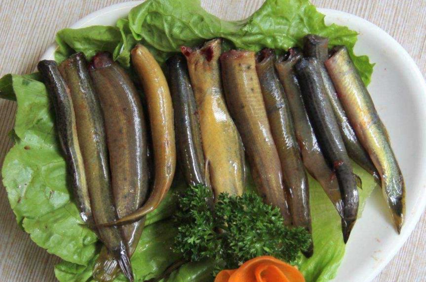 被称为水中人参的鱼是什么鱼,农村常吃的10种鱼