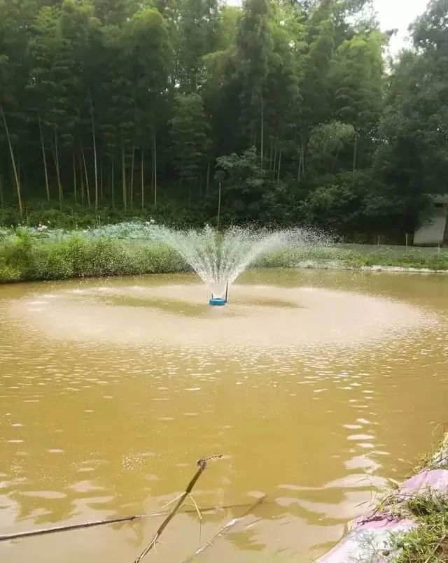 鱼塘里面有红色的水锈怎么治理,鱼塘水面生红锈有什么办法