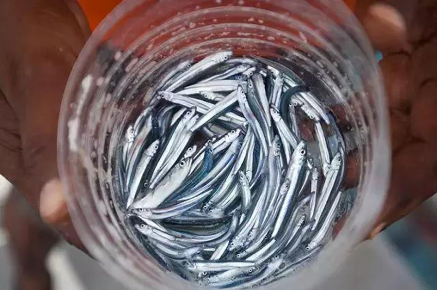 钓鱼的方法可以一秒钓到鱼,钓鱼变成荒野求生