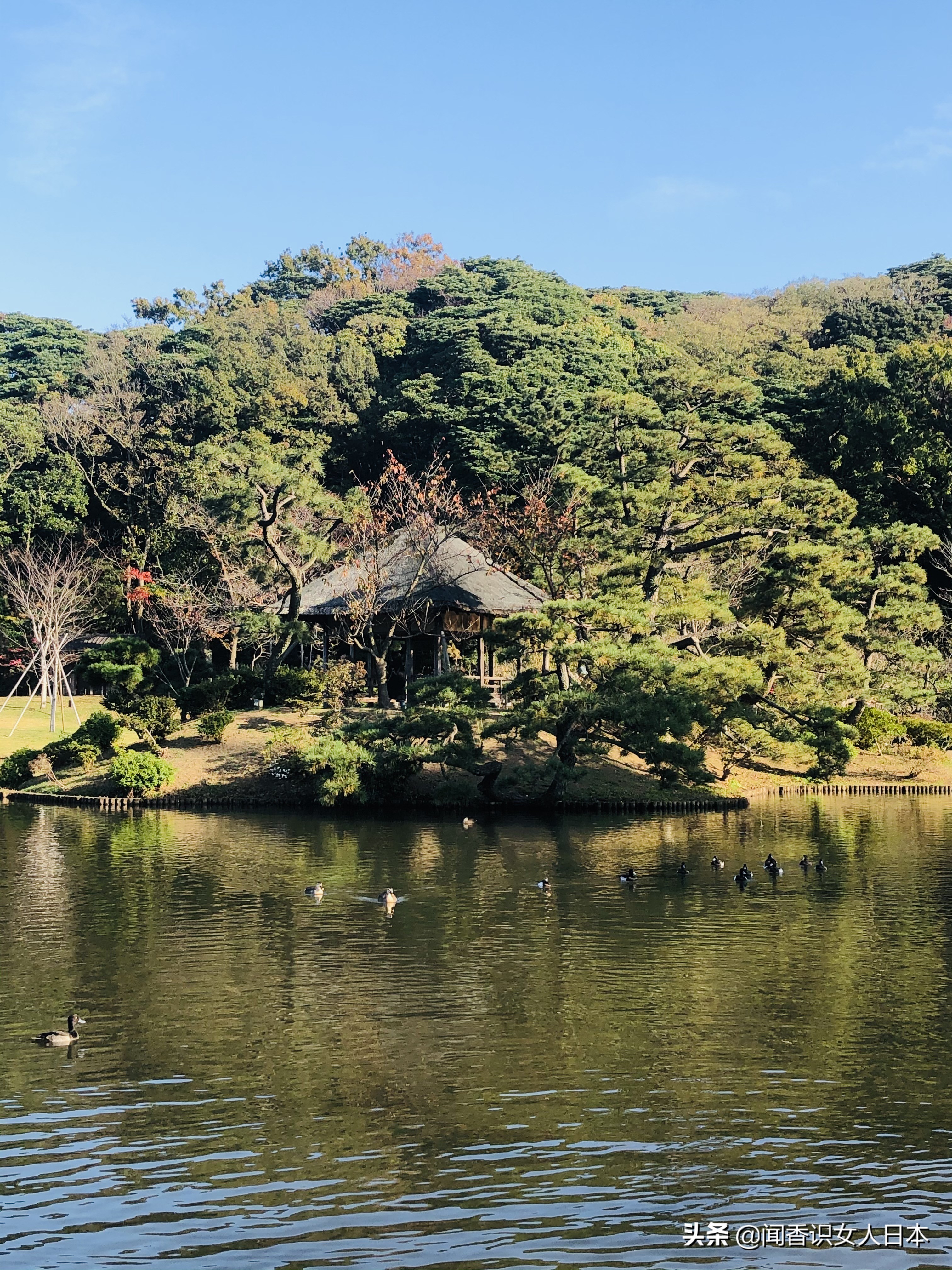 横滨三溪园,横滨三溪园介绍
