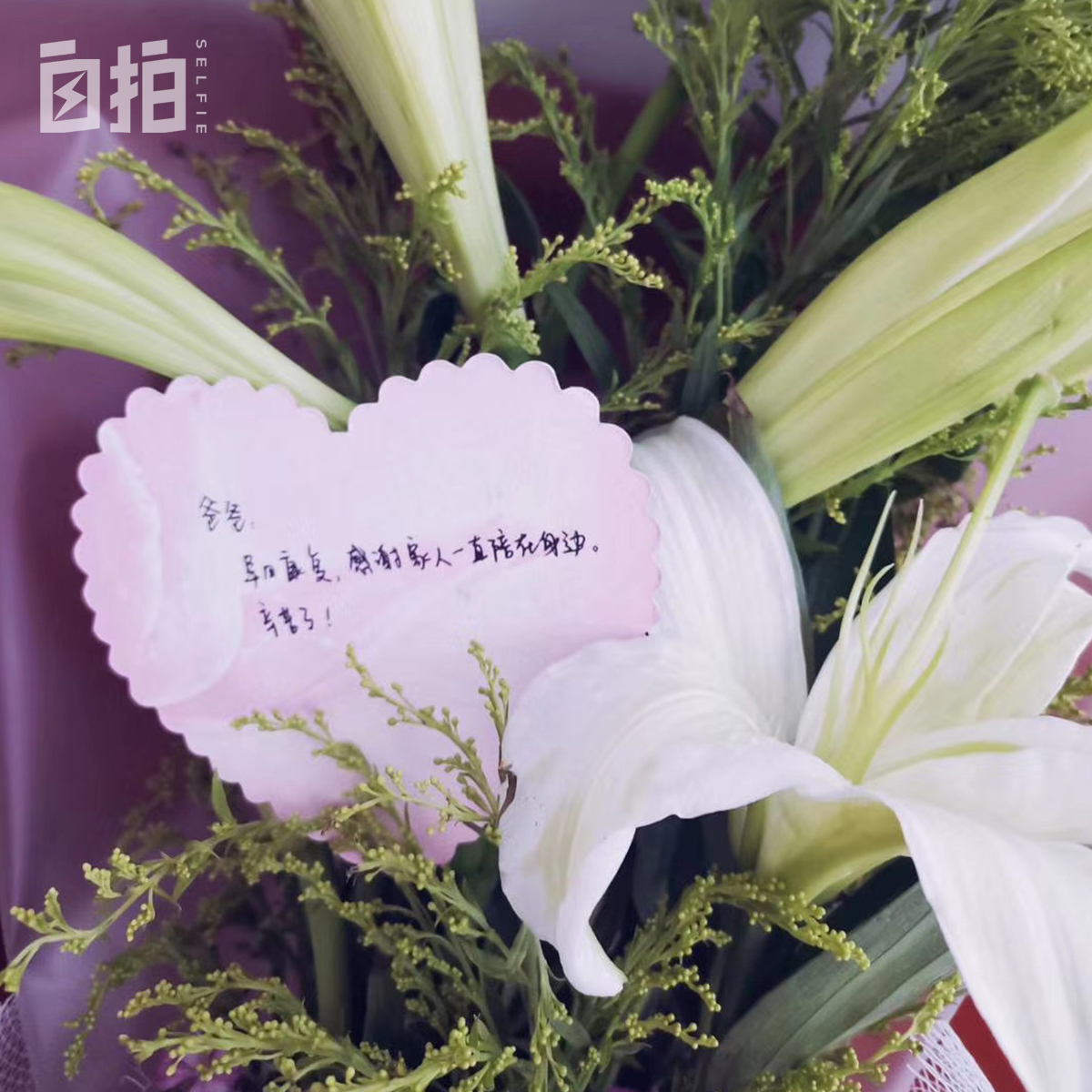 我，女大学生，一毕业就被派去非洲，每年15万工资，现在想回国