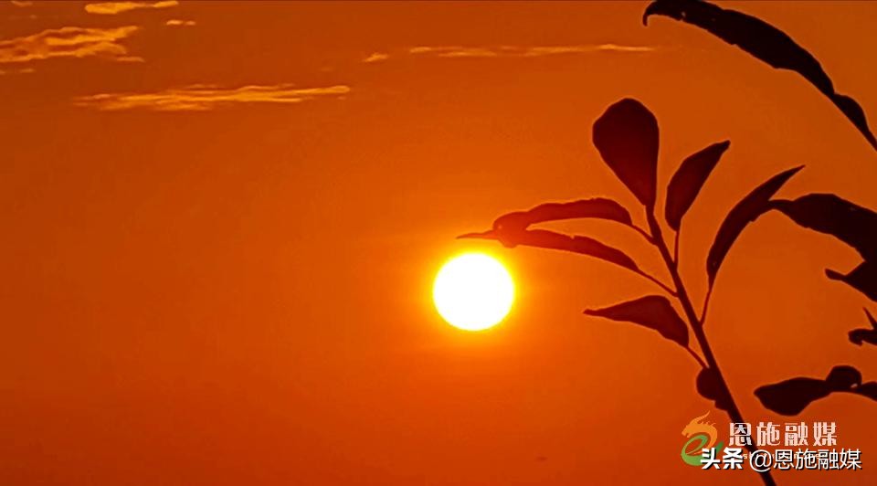 李伦英：用镜头记录家乡的美丽