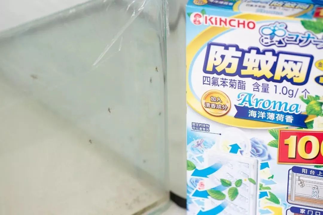 日本1亿家庭疯抢隐形蚊帐，超长待机100天，蚊子不进家门
