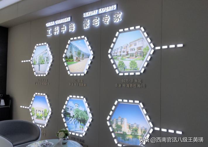 贵阳金茂观山湖业主被打事件,贵阳金茂观山湖业主被打后续